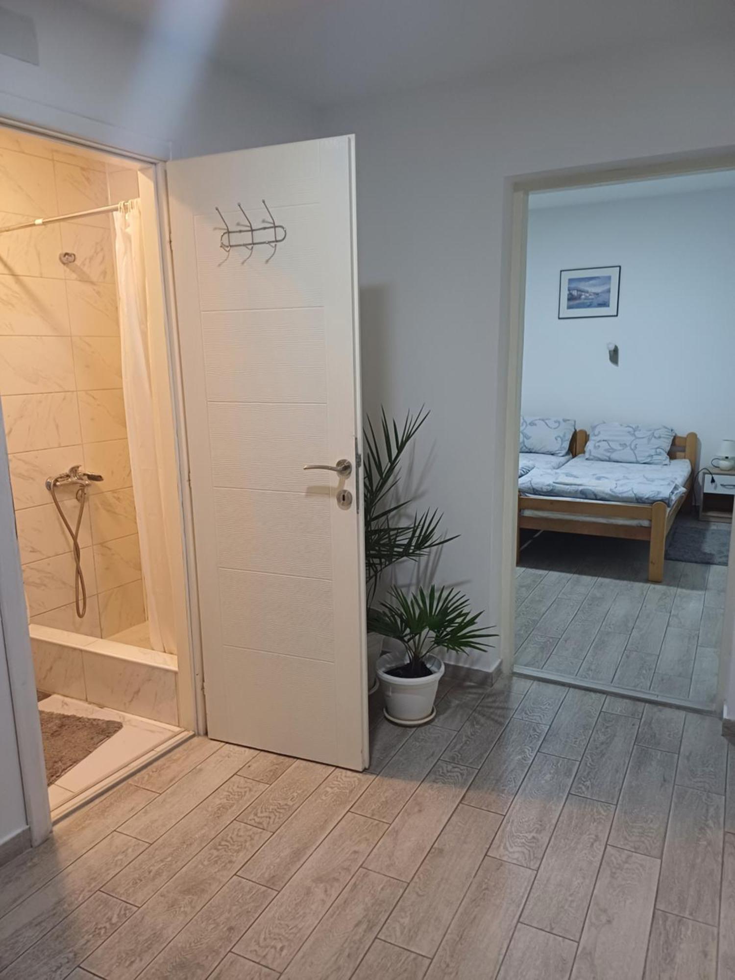 Apartman “Sanja” Pirot Kültér fotó